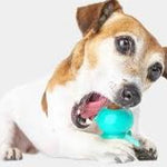 DOG CHEW TOY /JUGUETE PARA PERRO